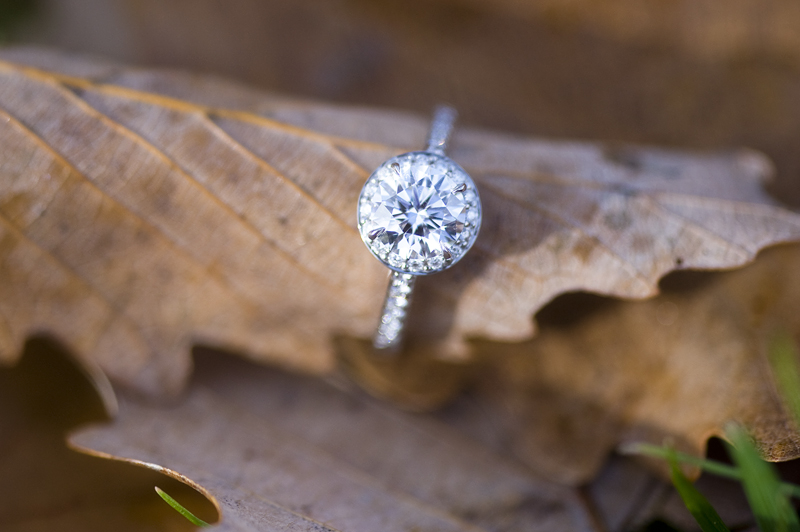 Tiffany Embrace Engagement Ring