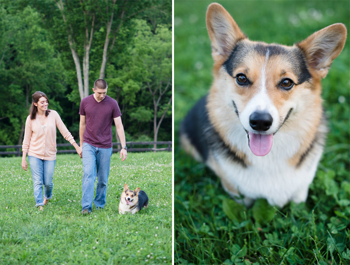 Puppy Engagement Session 