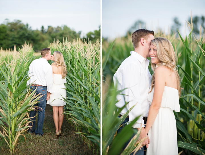 Cornfields in Maryland for Engagement Pictures