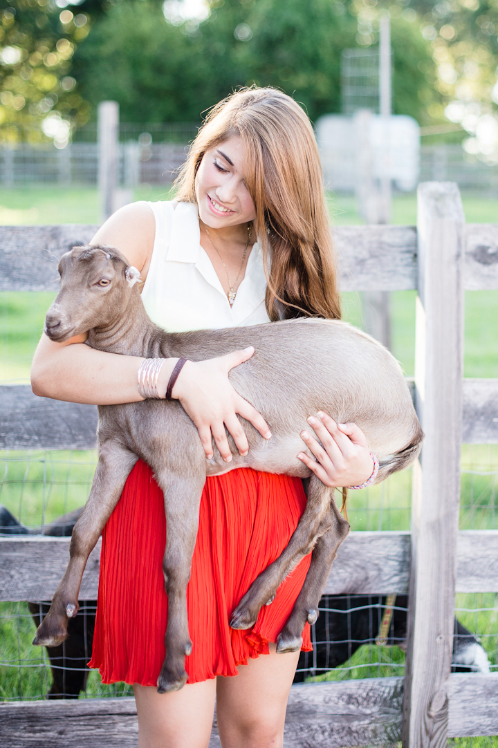 Petting Zoo Portrait Session |  Natalie Franke Photography