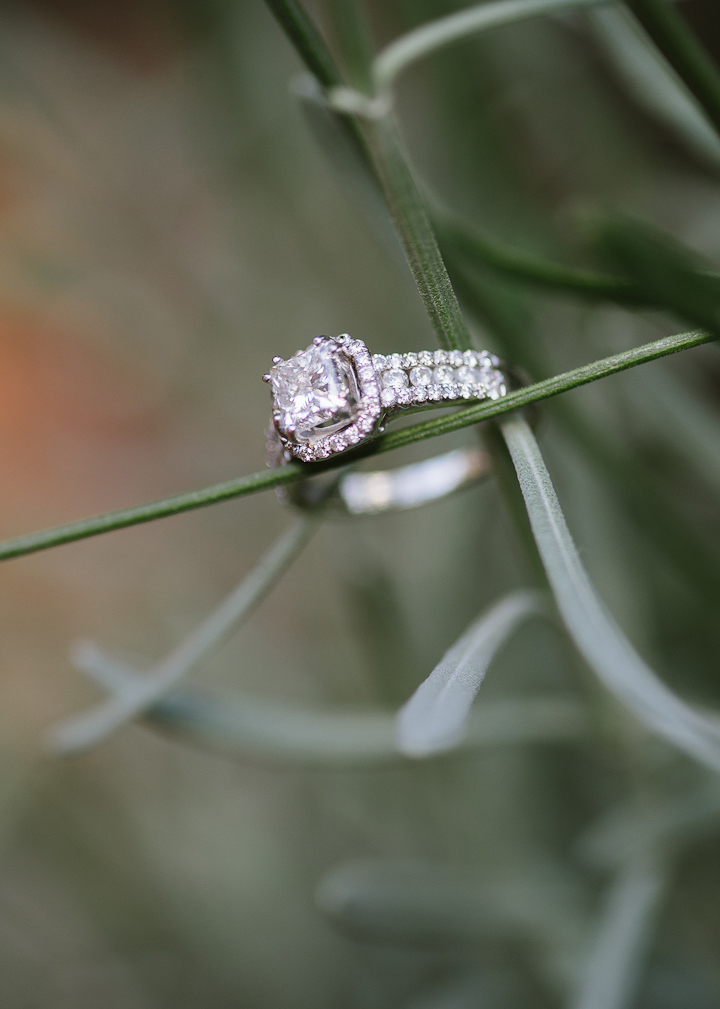 Gorgeous Halo Engagement Ring