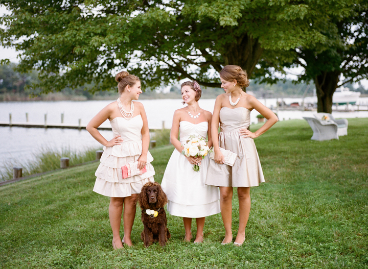 Tips for Taking Pictures With Your Dog at an Engagement Session or Wedding