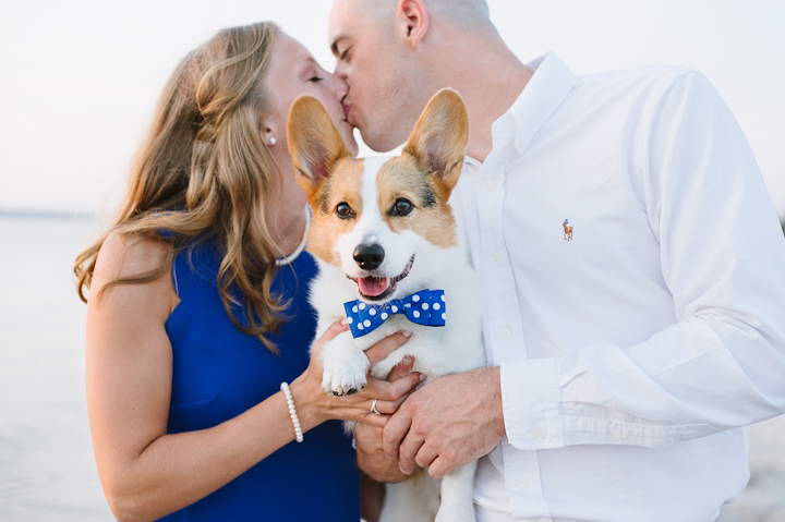 Dog Bow Tie Engagement Pictures