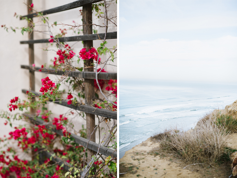 San Diego, California | Destination Wedding & Travel Photographer - Natalie Franke