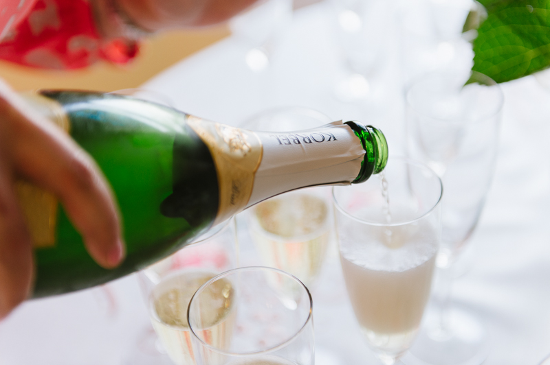 Champagne Wedding Toast - Korbel | Natalie Franke Photography