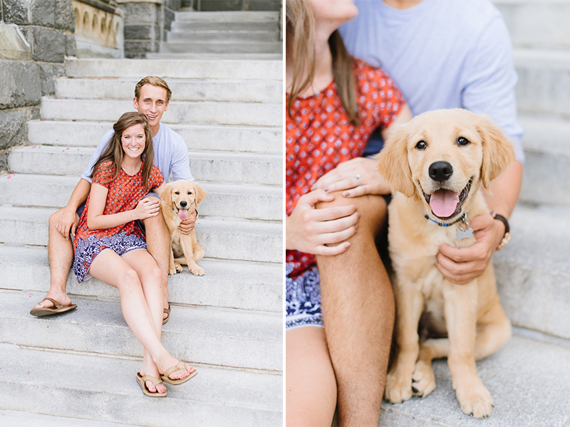 Golden Retriever Puppy - Engagement Pictures with your Dog! | Natalie Franke Photography