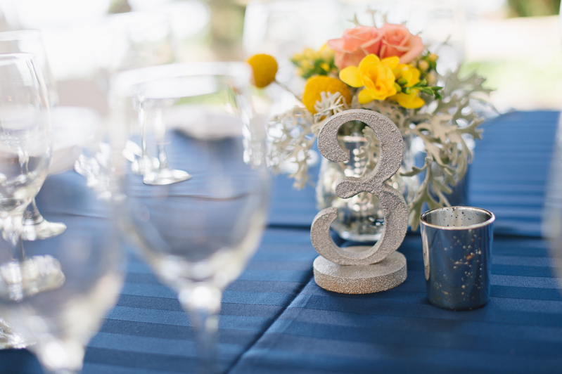 Naval Academy & Historic London Town & Gardens Wedding | Natalie Franke Photography