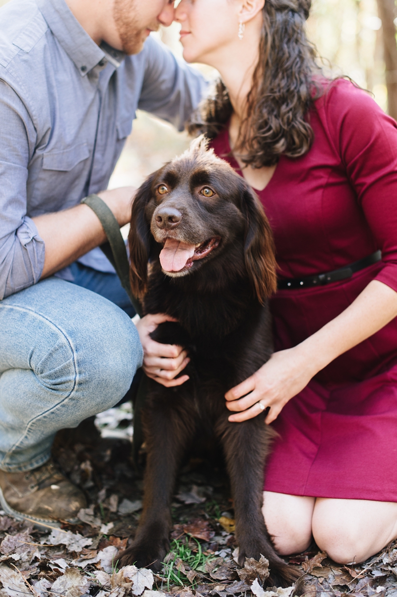 Engagement Sessions with Dogs - Such a cute Boykin Spaniel! | Natalie Franke Photography