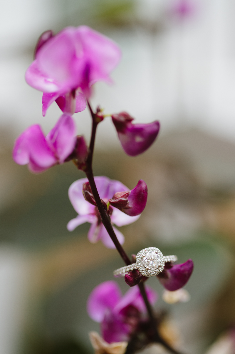 Beautiful Engagement Ring Pictures - Natalie Franke Photography