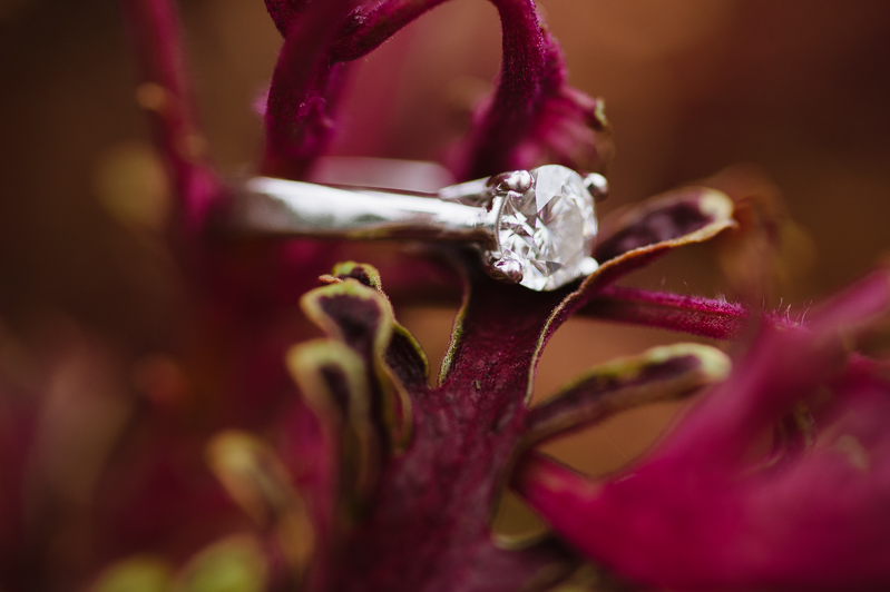 Gorgeous Engagement Ring - Natalie Franke Photography at Longwood Gardens