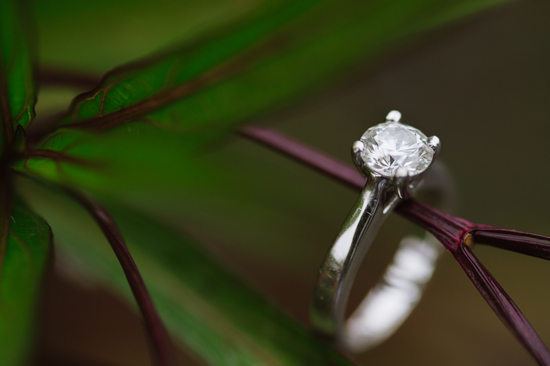 Solitaire Engagement Ring Picture - Natalie Franke Photography