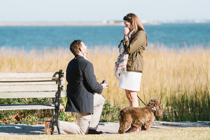 Surprise Proposal in Charleston, South Carolina by Fine Art Wedding Photographer - Natalie Franke Photography