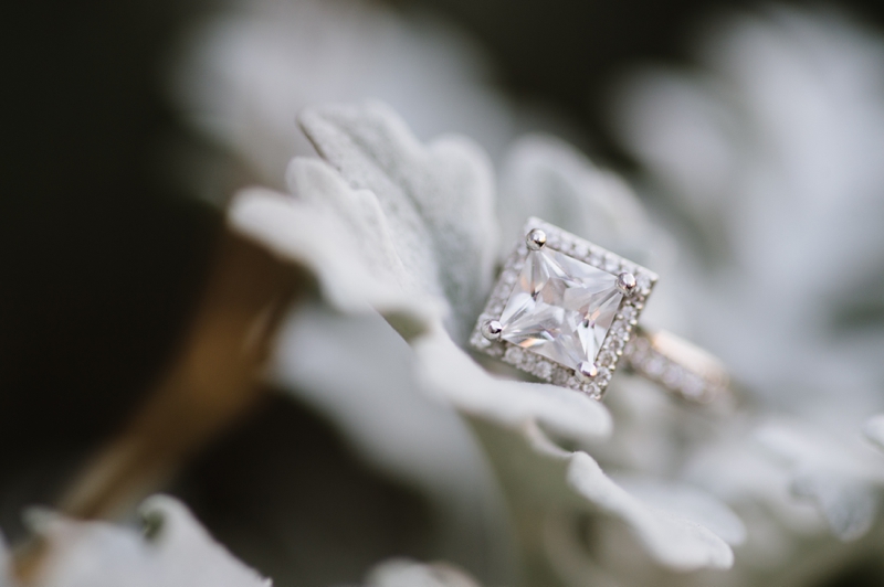 Federal Hill Engagement Pictures in Baltimore, Maryland | Natalie Franke Photography