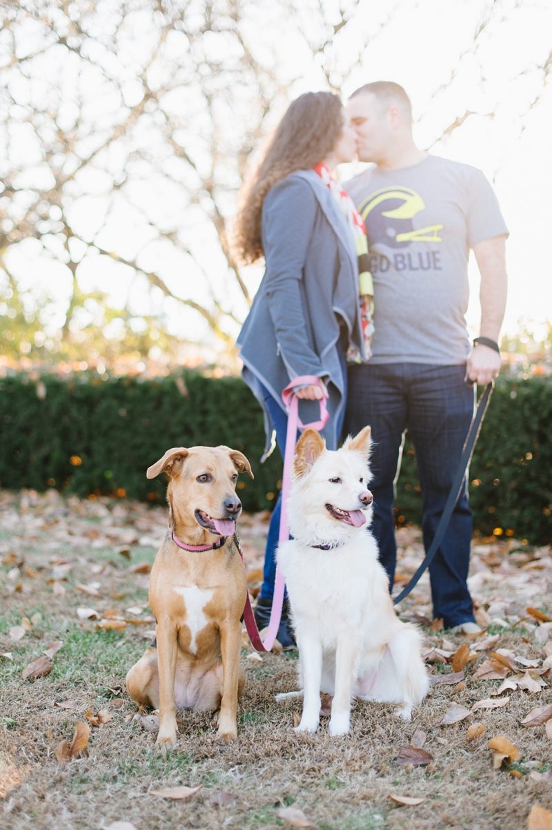 Washington DC Engagement Pictures | Natalie Franke Photography