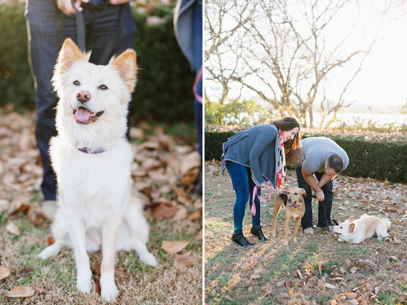 Washington DC Engagement Pictures | Natalie Franke Photography