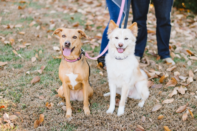 Washington DC Engagement Pictures | Natalie Franke Photography