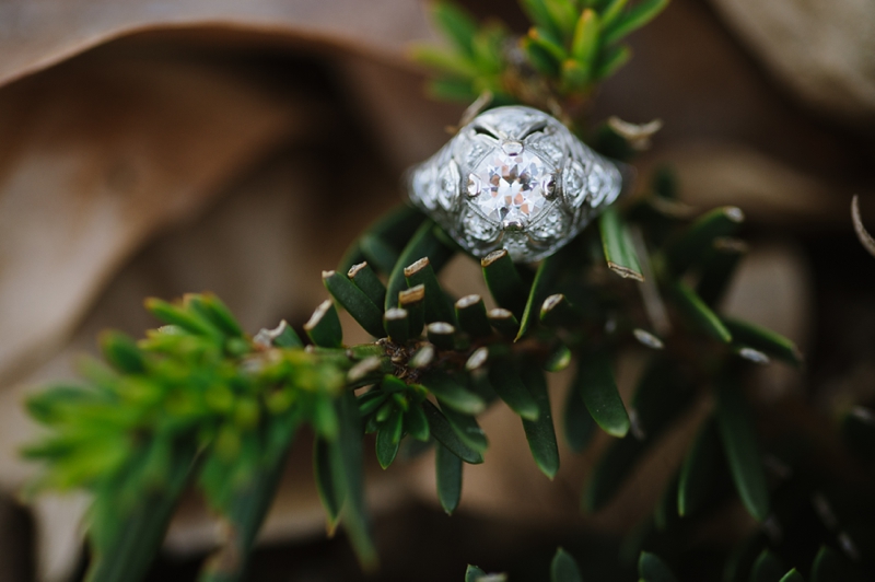 Washington DC Engagement Pictures | Natalie Franke Photography