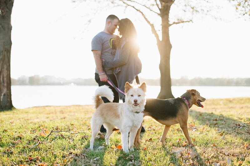 Washington DC Engagement Pictures | Natalie Franke Photography