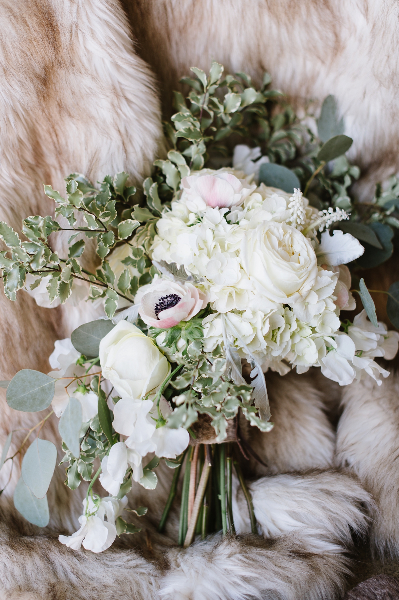 Elegant Winter Wedding Bouquet with Blush Anemones, Hydrangea, and Dusty Miller wrapped in Faux Fur | Natalie Franke Photography