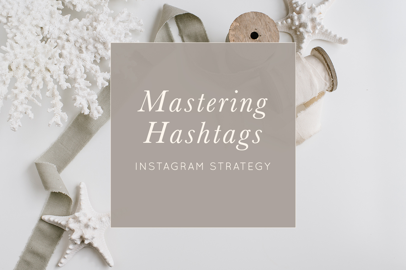How to Use Hashtags on Instagram for Entrepreneurs by Natalie Franke