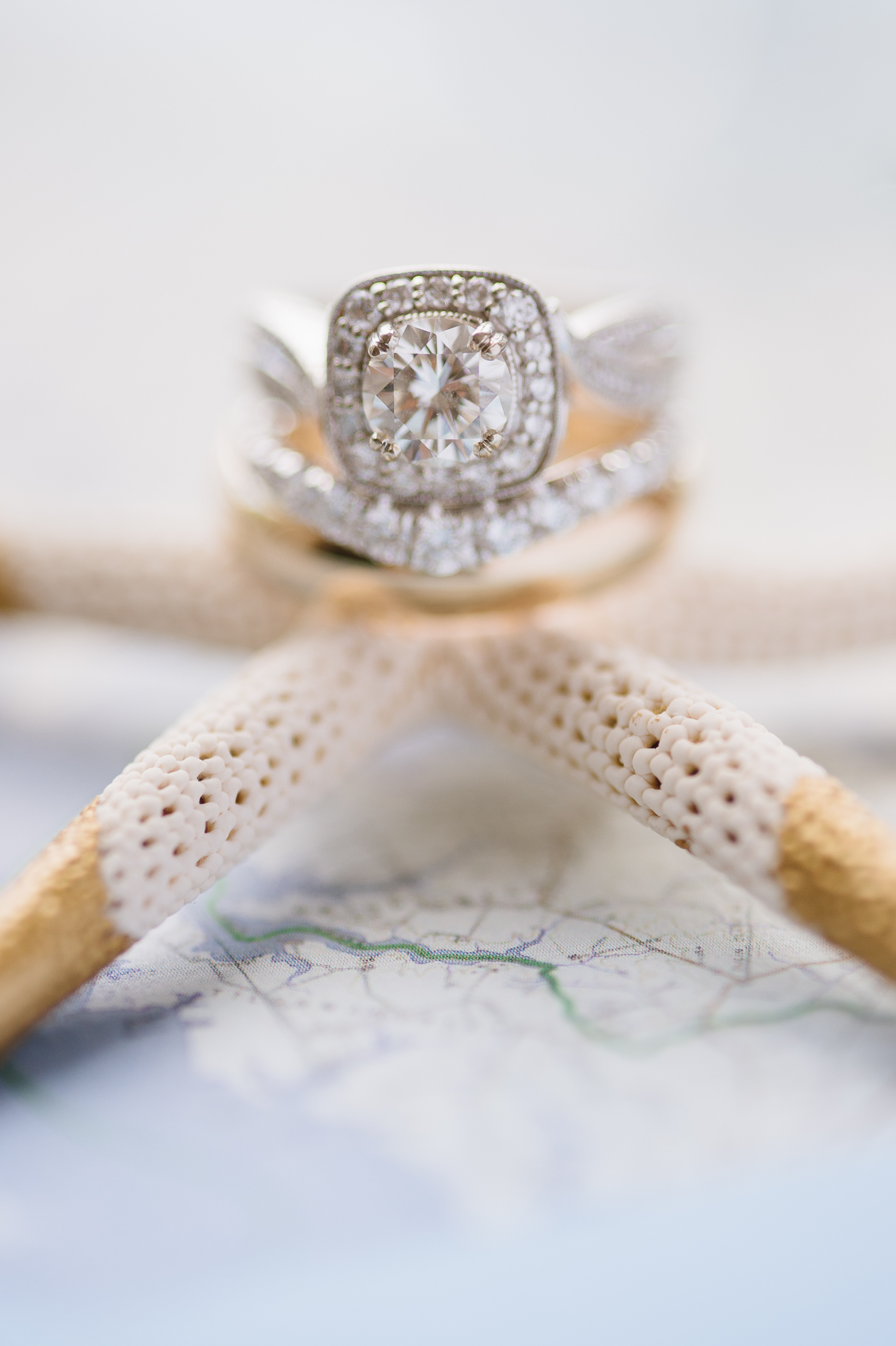 Starfish Engagement Ring Detail Pictures | Round Brilliant Halo Diamond Ring