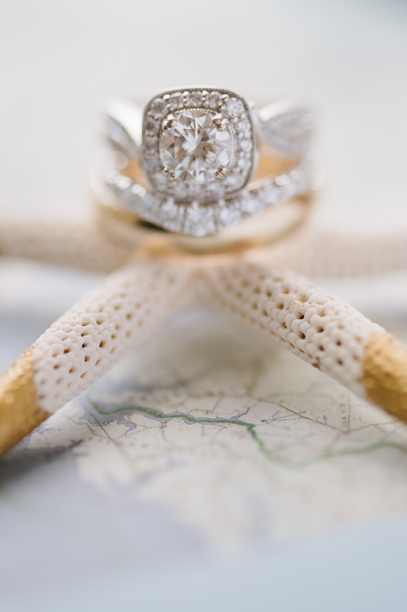 Gorgeous Starfish Engagement Ring | Natalie Franke Photography