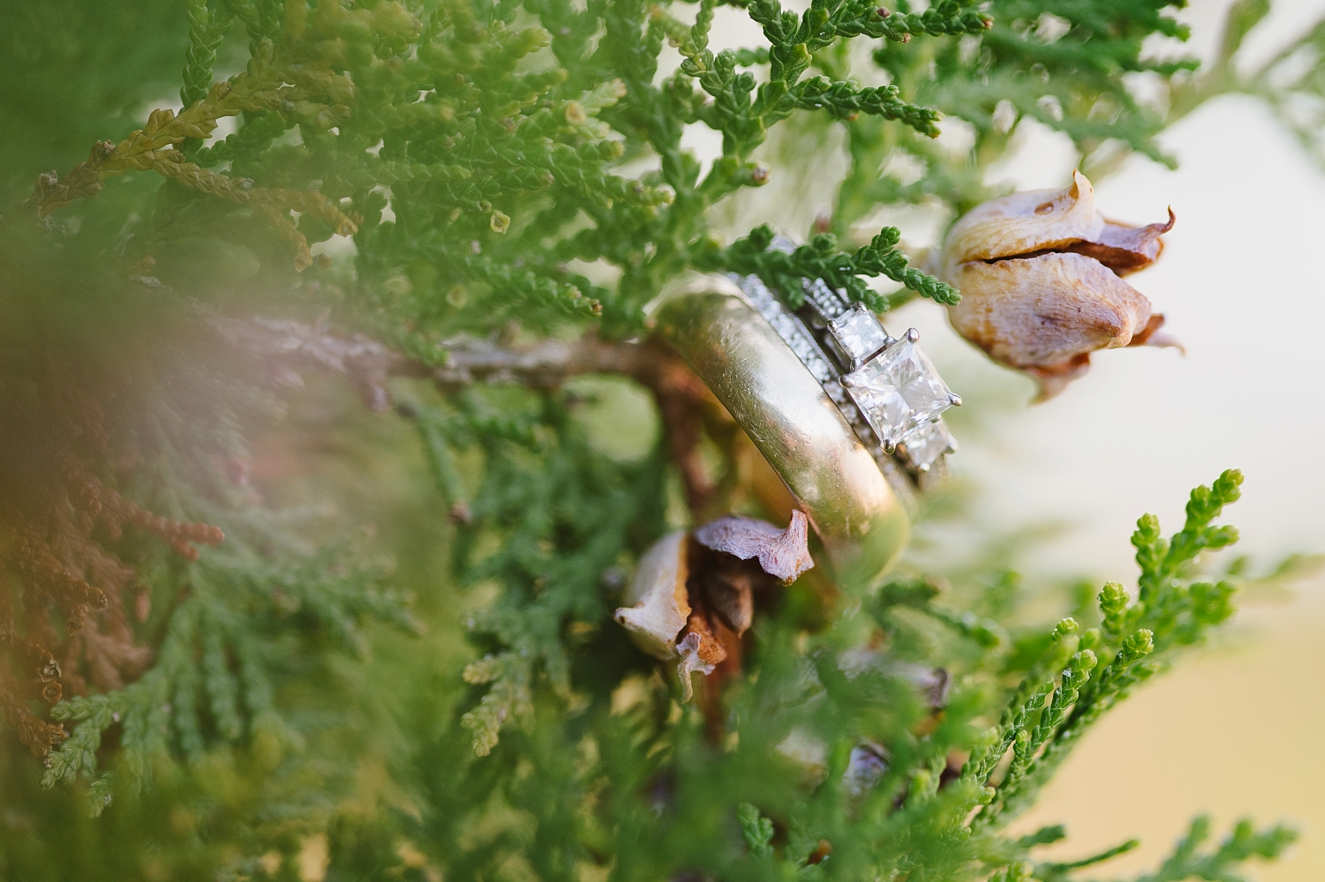 Autumn Anniversary Session for Newlywed Couple in Annapolis